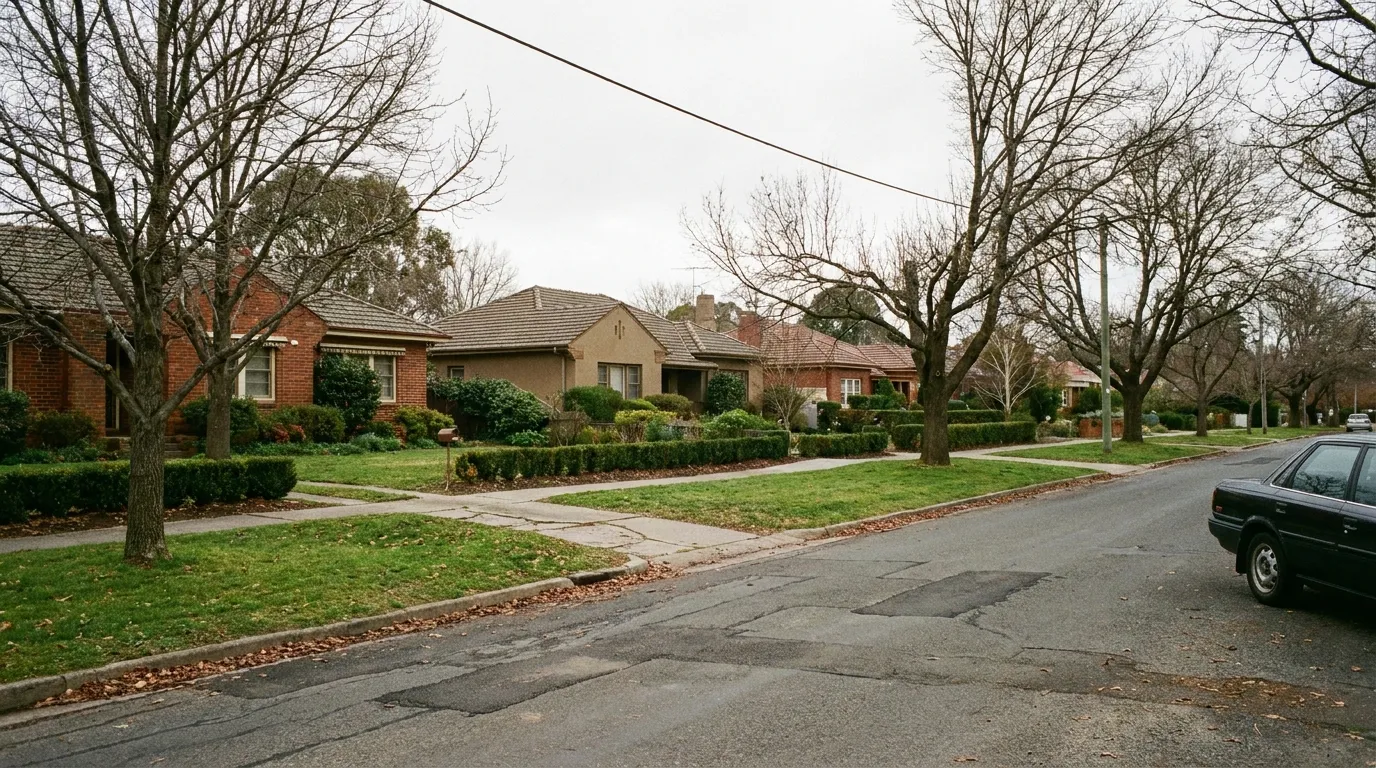 A tree-lined Griffith street in Canberra with inter-war brick homes behind established front gardens